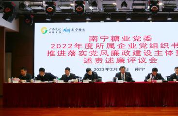南寧糖業(yè)召開2022年度所屬公司黨組織書記推進落實黨風(fēng)廉政建設(shè)主體責(zé)任述責(zé)述廉評議會