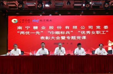 南寧糖業舉行2022年度“兩優一先”表彰大會暨專題黨課