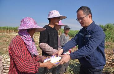 石榴花開 籽籽連心 | 蔗鄉共話甜蜜民族情
