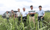 廖應(yīng)燦到博華、博宣公司調(diào)研