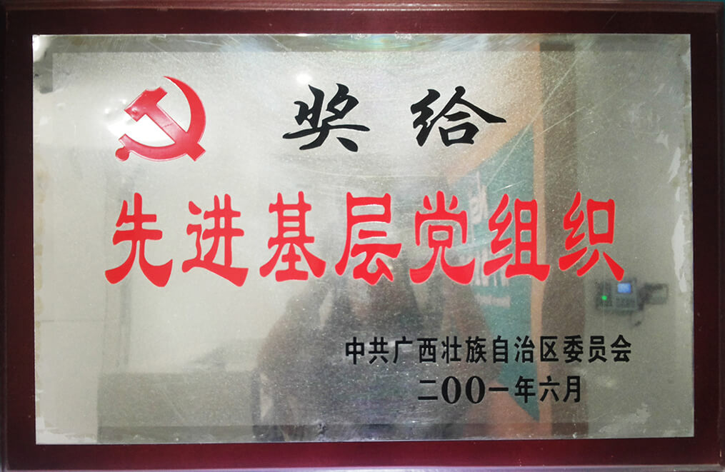 廣西先進基層黨組織