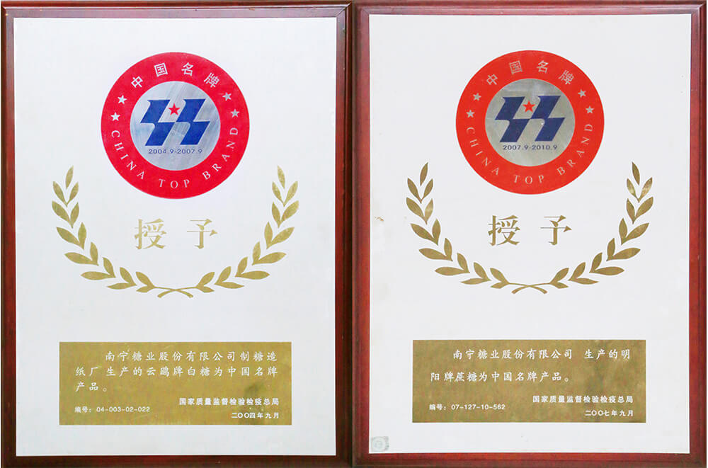 廣西唯一擁有兩個“中國名牌產品”的法人單位，南寧市第一家獲得“中國名牌產品”的企業。