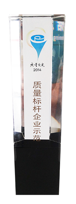 中國“質量之光”質量標桿企業示范
