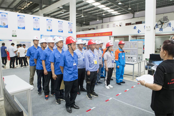 P67G3130U3.jpg