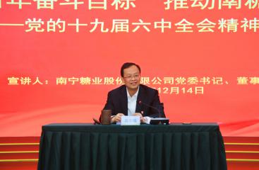 莫菲城開展學習貫徹黨的十九屆六中全會精神專題黨課