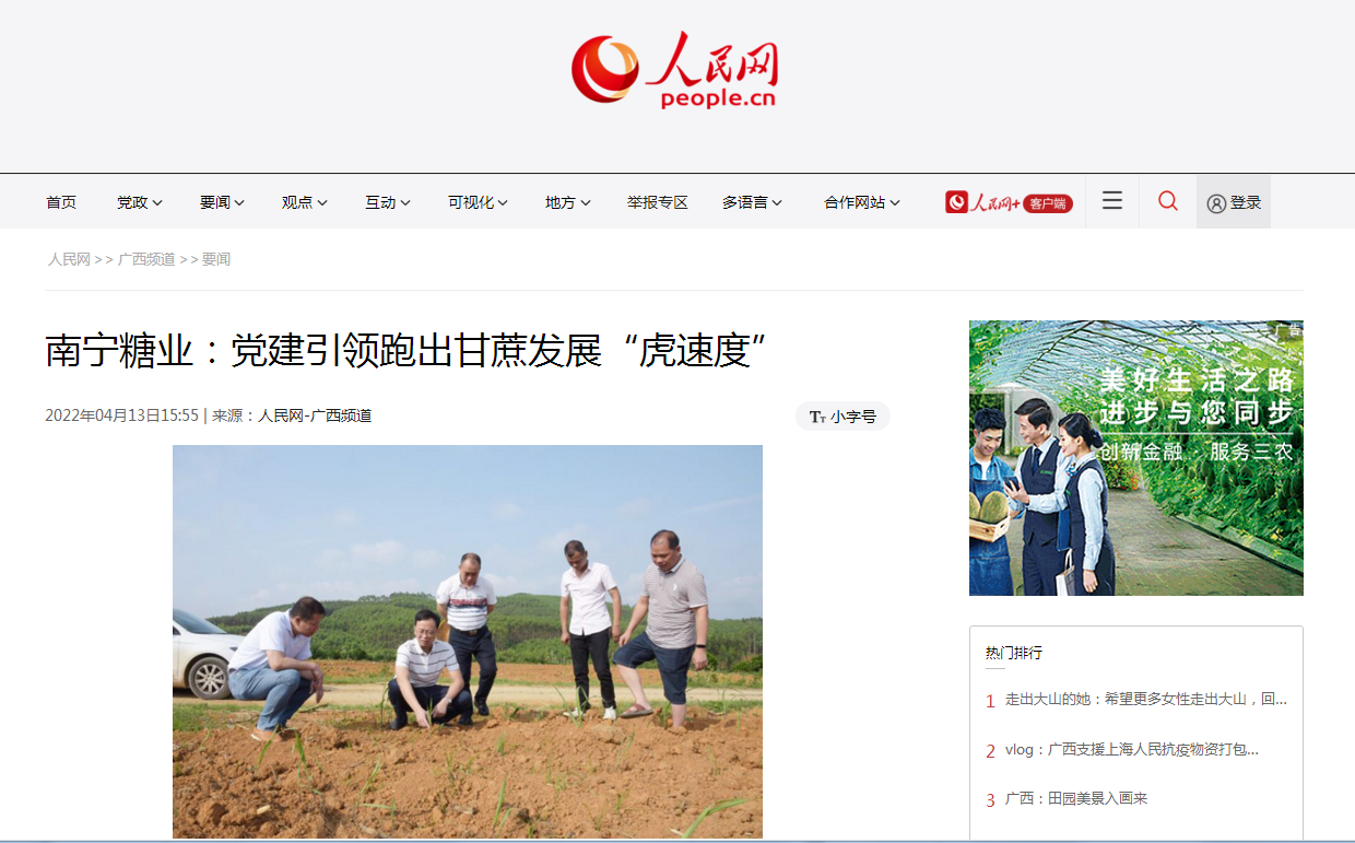 4.13南寧糖業(yè)：黨建引領(lǐng)跑出甘蔗發(fā)展“虎速度”.png