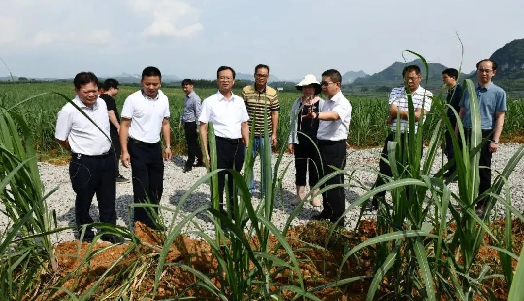 莫菲城在“智慧農(nóng)業(yè)”示范基地聽取潘文新介紹基地建設(shè)情況.jpg