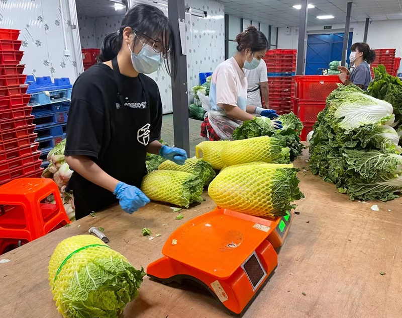 一線工人加班加點進(jìn)行分揀、裝包2.png