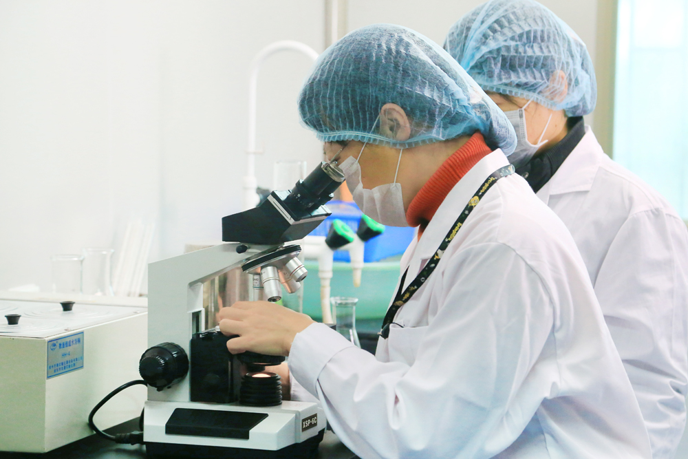 在行業率先建立微生物實驗室  堅守質量關（李蘊昭 攝）.jpg