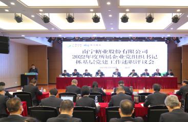 南寧糖業召開2022年度所屬企業黨組織書記抓基層黨建工作述職評議會