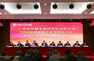 廣農(nóng)糖業(yè)黨委召開2024年度所屬企業(yè)黨組織書記抓基層黨建工作述職評議會