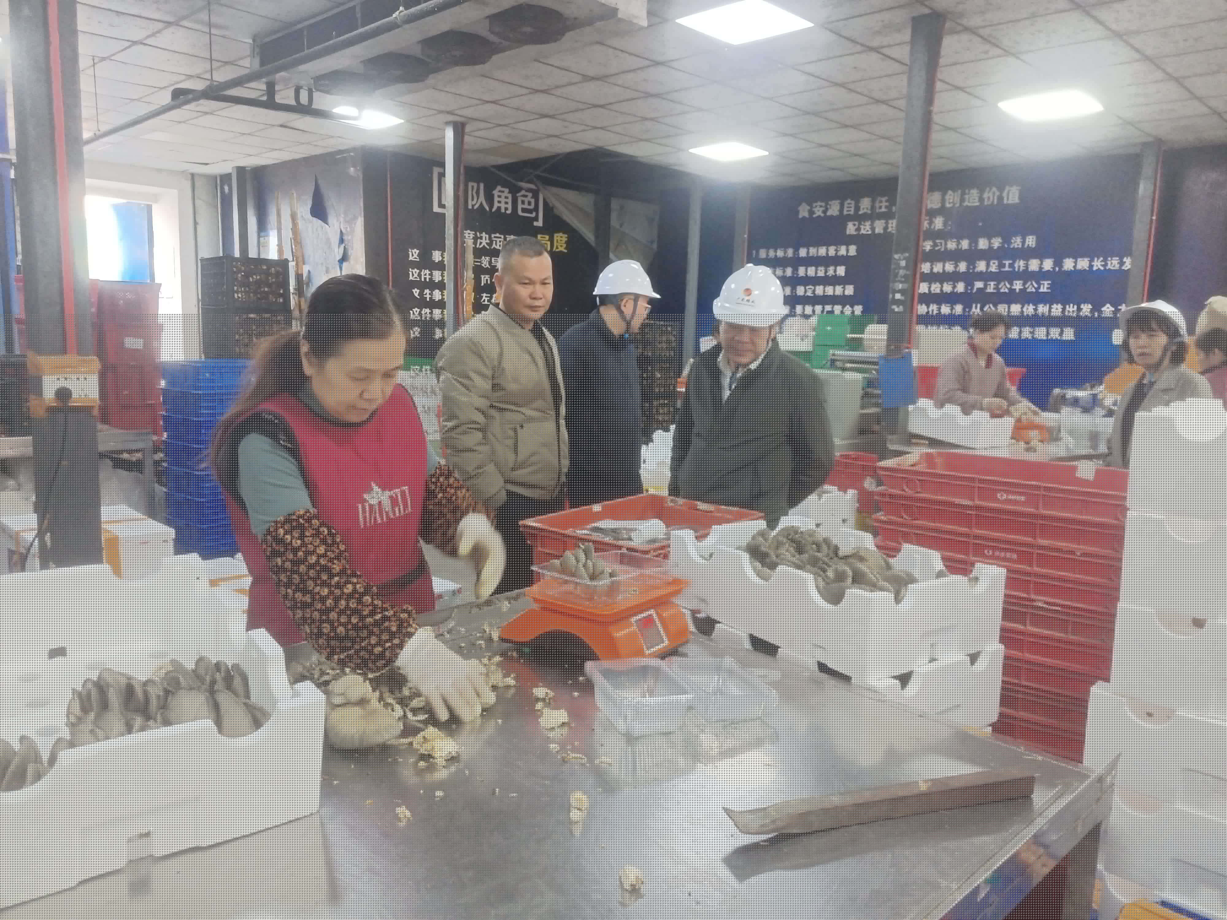 滕正朋在增潤開展歲末年初安全防范大檢查（圖9：陸學賽）.jpg